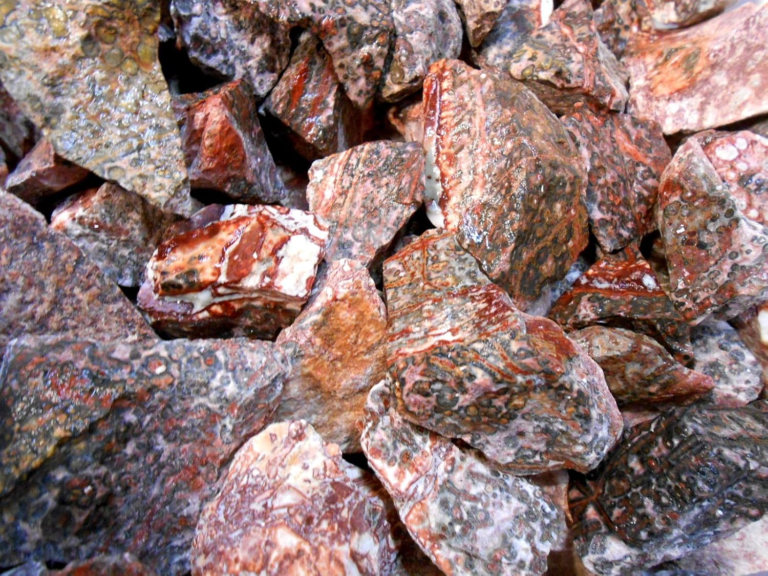 Rockhound'S 1St Choice Rock Tumbler Gem Refill Kit -Mexico Red Leopardskin Jasper Rough- 8Oz image number 2