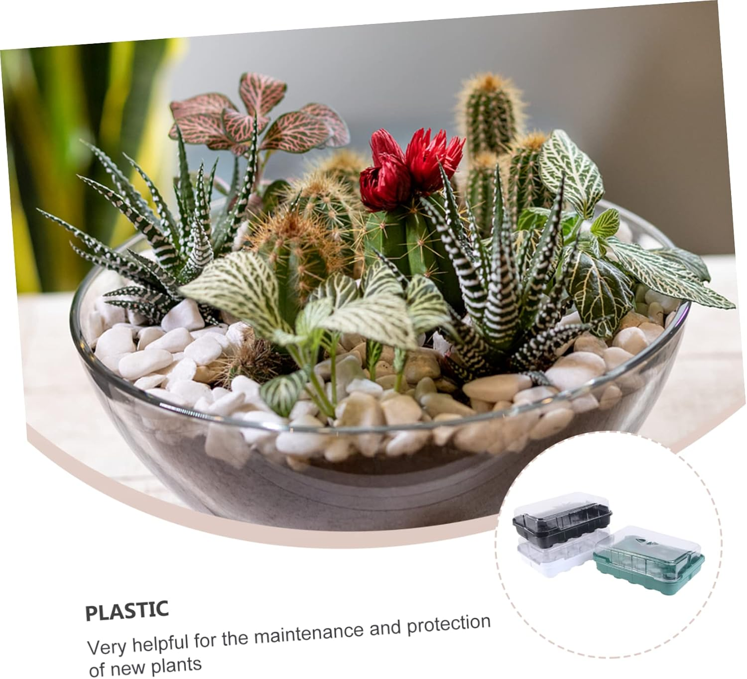 MERRYHAPY 3 Sets Plastic Tray Plant Nursery Tray for Indoor Plant Sprout Propagating Box image number 3