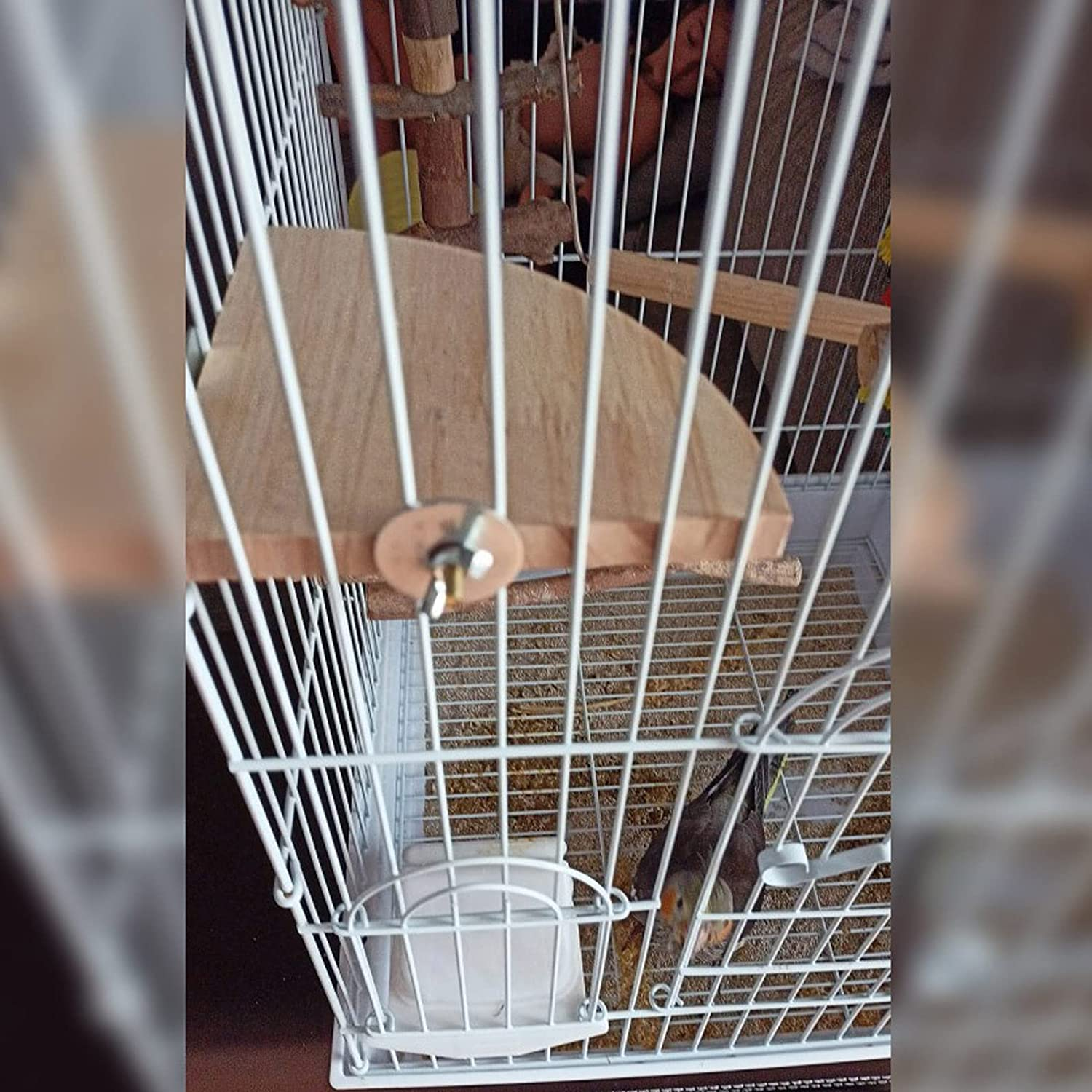 TRADERPLUS Wood Bird Perch Platform Stand Parrot Cage Perch Parrot Stand Playground Cage Accessories for Parakeets Bird Chinchilla Hamster Guinea Squirrel Hedgehog, 7 Inch image number 3