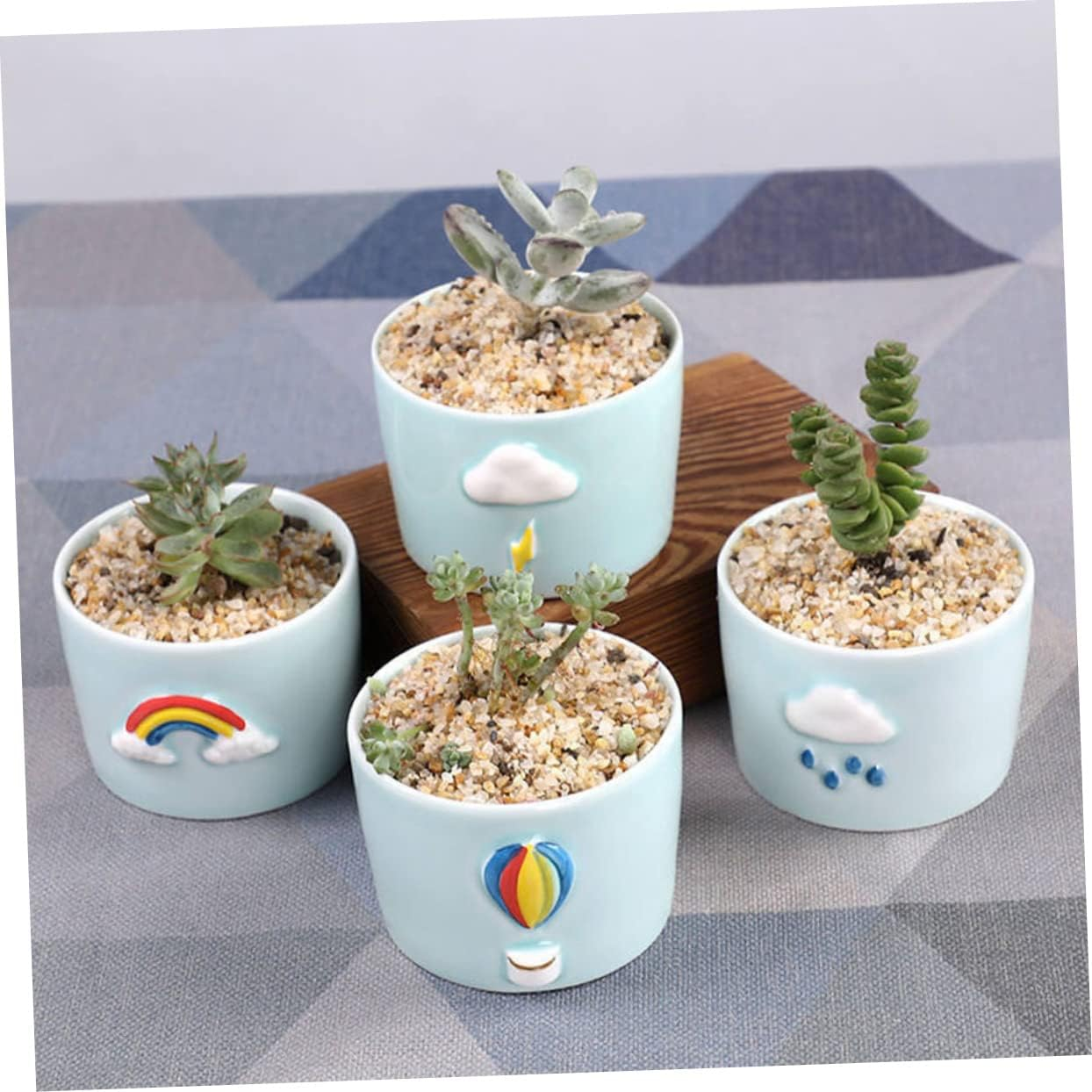 Ceramic round Succulent Container Cute Pot Plant Gardening Succulent Pot Artistic Flowerpot for Plant Lovers