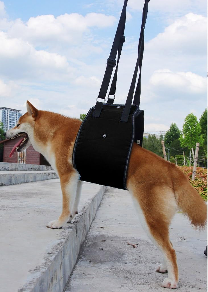 Dog Lift Support Harness with Handle for Older or Injured Canines - Adjustable Strap for Weak Hind Legs, Mobility Aid, Back Sling (Black, L) image number 2