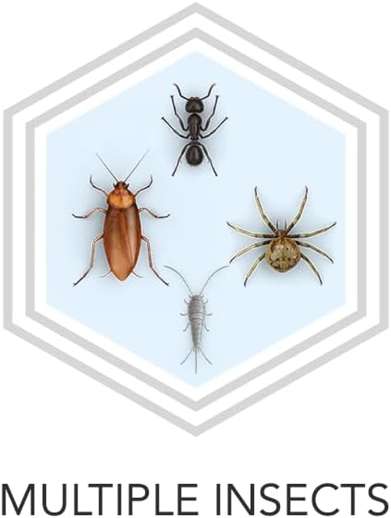 Raid Max Crawling Insect Killer Spray 375 G image number 5