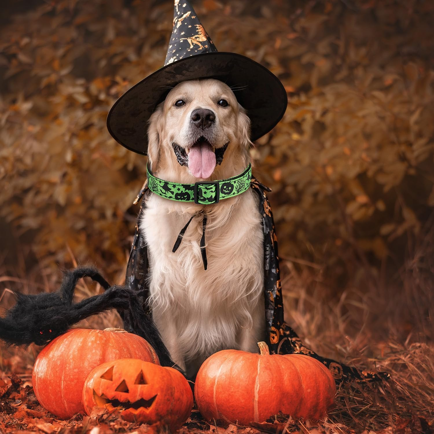 Halloween Dog Collar, Soft Comfy Halloween Themed Dog Collar with Skull Bat Cat Witch Tree Hat Pumpkin Pattern Halloween Dog Collar for Small Medium Large Dogs (Little Bat, XL：2.5 * 42-70CM) image number 3