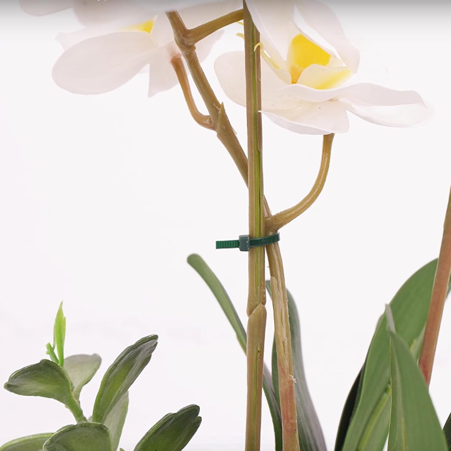 KINGLAKE GARDEN Green Zip Ties 4 Inch 3MM 100 Pack Green Nylon Tie,Premium Plastic Wire Ties for Indoor and Outdoor image number 5