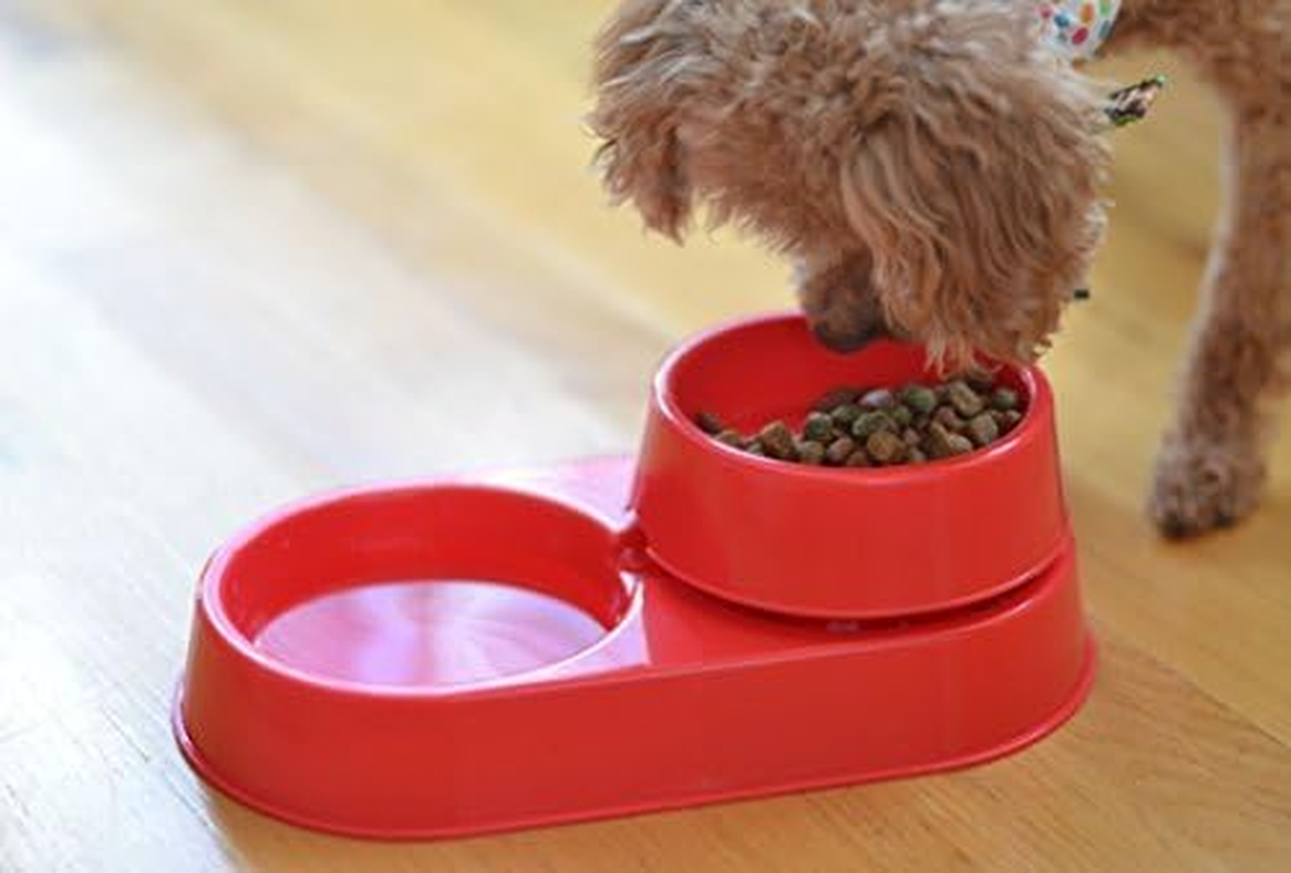 The 3-In-1 Ant Free Pet Dish ???? image number 1