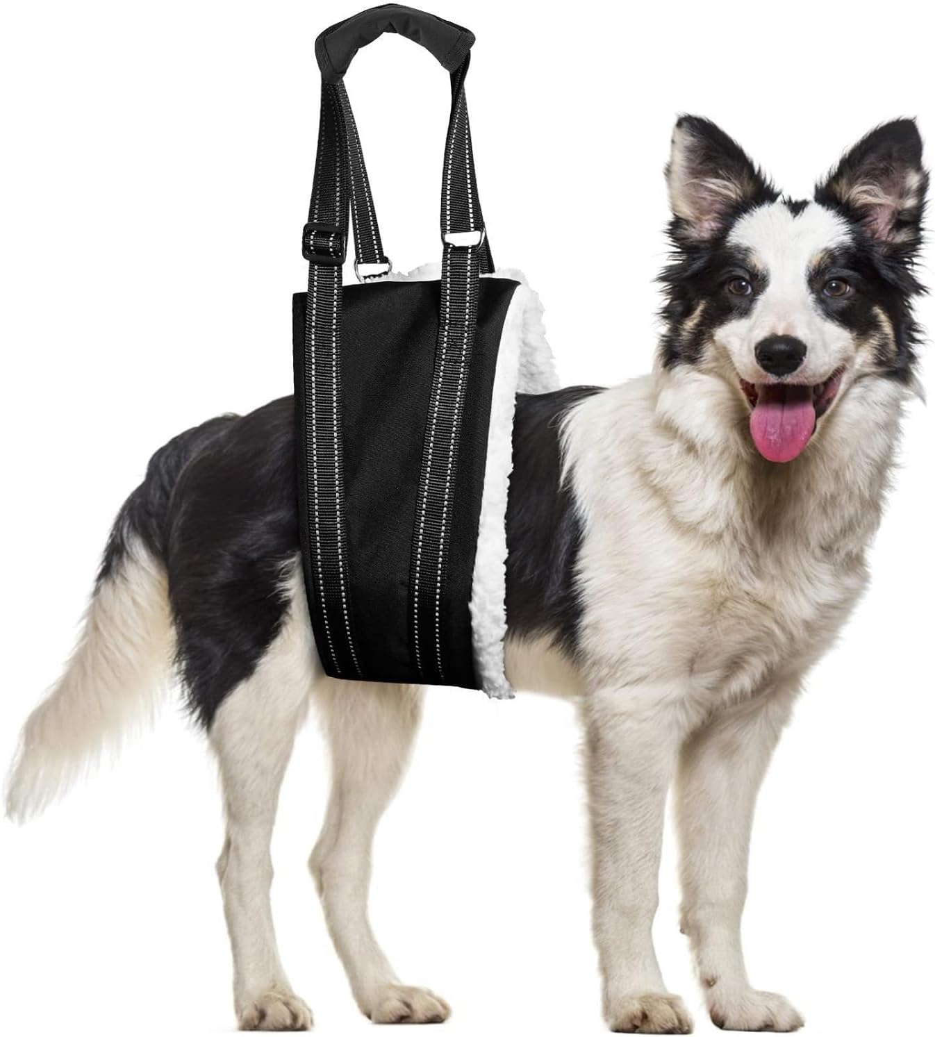 Dog Lift Support Harness Portable Sling for Support to Help Dogs Rear Rehabilitation and Disable Injured Elderly Pet - Helps Dog with Weak Front or Rear Legs Walk (Black, L)