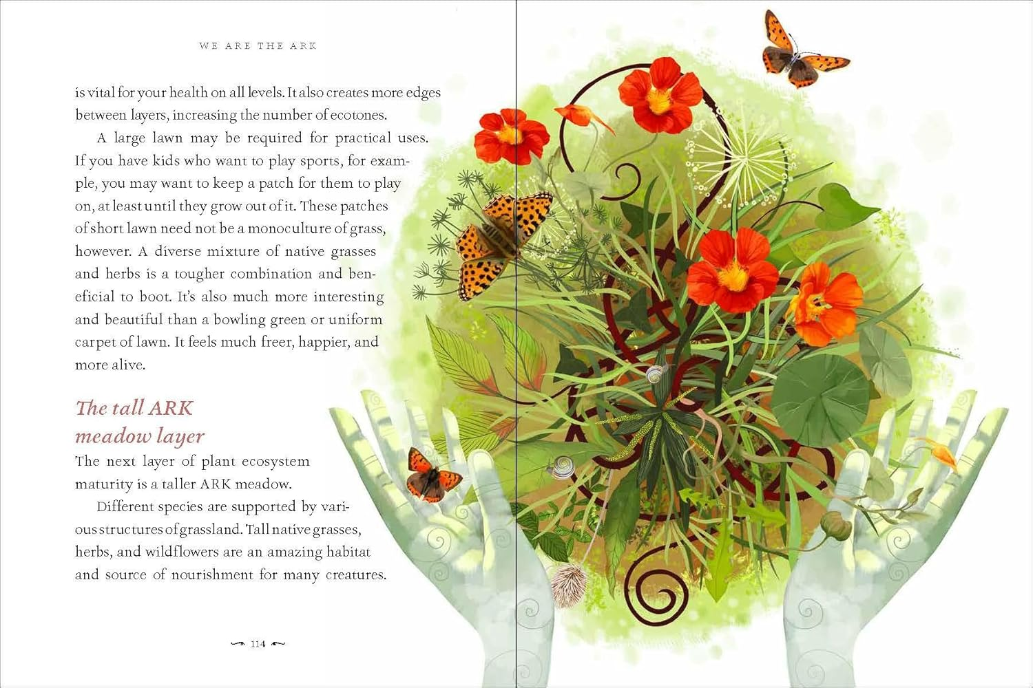 We Are the ARK: Returning Our Gardens to Their True Nature through Acts of Restorative Kindness image number 4