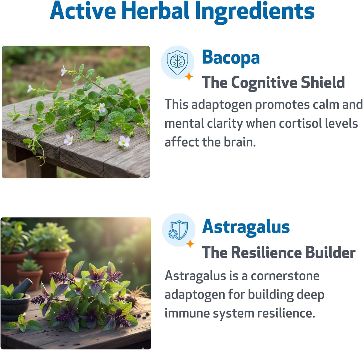 Pet Wellbeing Adrenal Harmony Gold for Dogs - Supports Healthy Adrenal Function, Normal Cortisol Levels, Healthy Thirst & Weight &ndash; Vet-Formulated Holistic Supplement &ndash; 2 Oz (59 Ml) image number 5