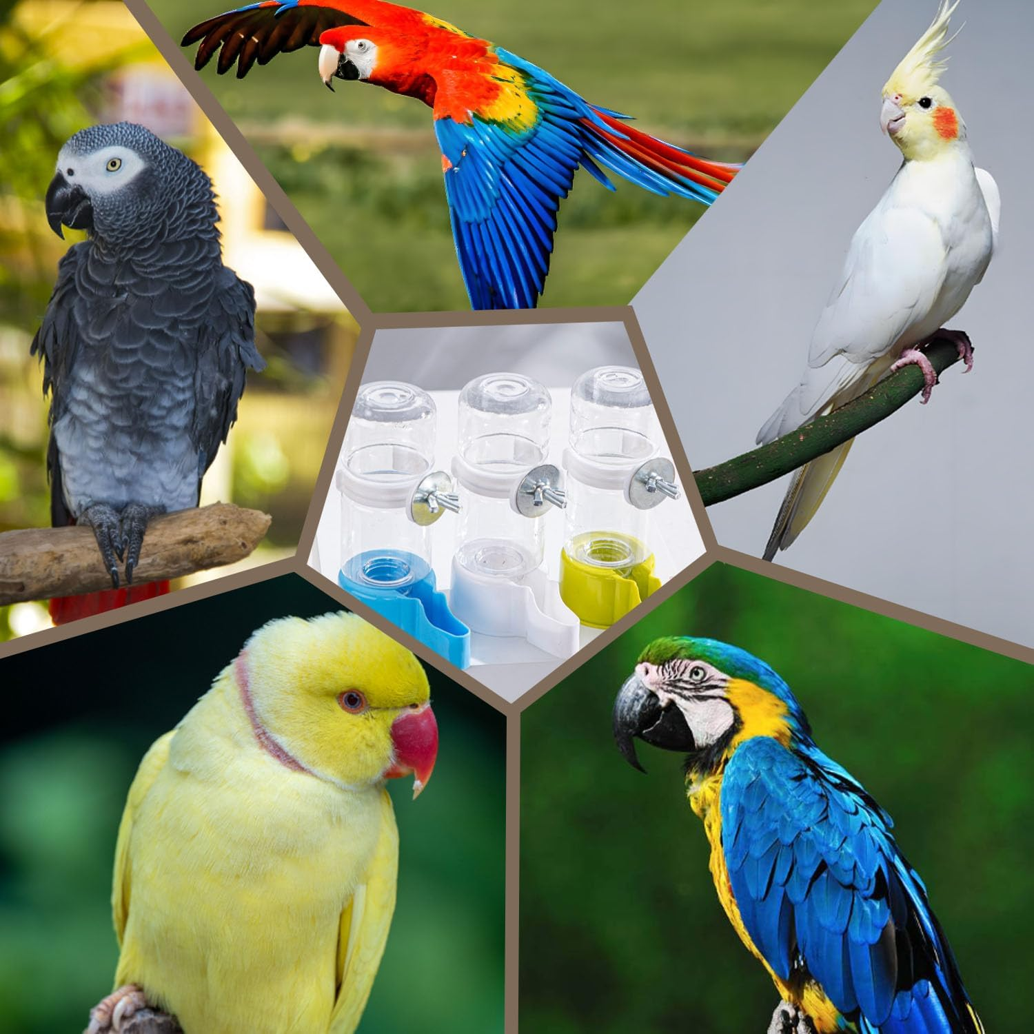 Automatic Bird Water Dispenser, Feeder, Parrot Feeder, Bird Cage Suspended Automatic Bird Feeder Water Bottle with Secure Cage Mount, Rabbit Watering System (Green) image number 6