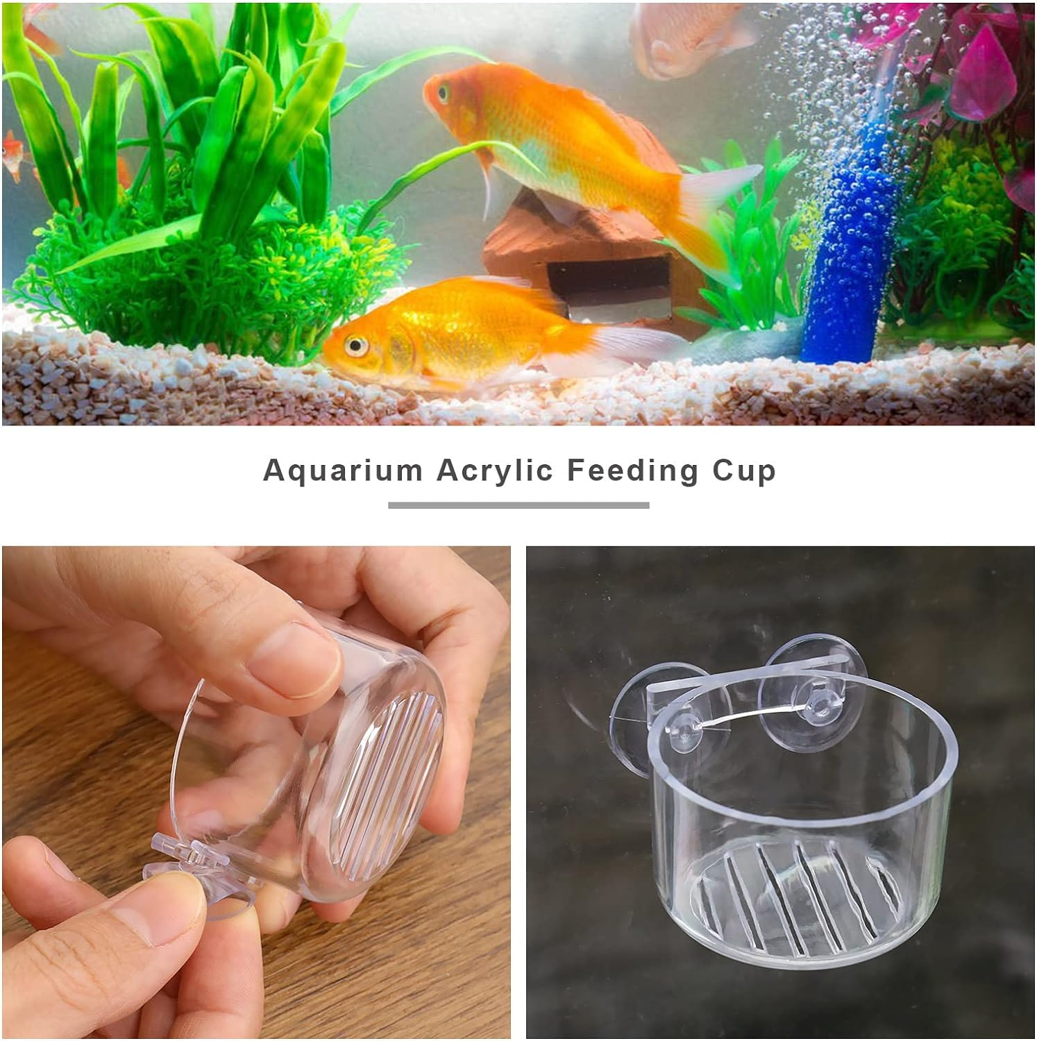 Ecsing 4PCS Red Worm Feeder with Sucker Fish Tank Plant Shrimp Acrylic Feeding Bowl Bloodworm Water Food Dish Transparent Feeding Cup for Fish Shrimp Fish Tank image number 2
