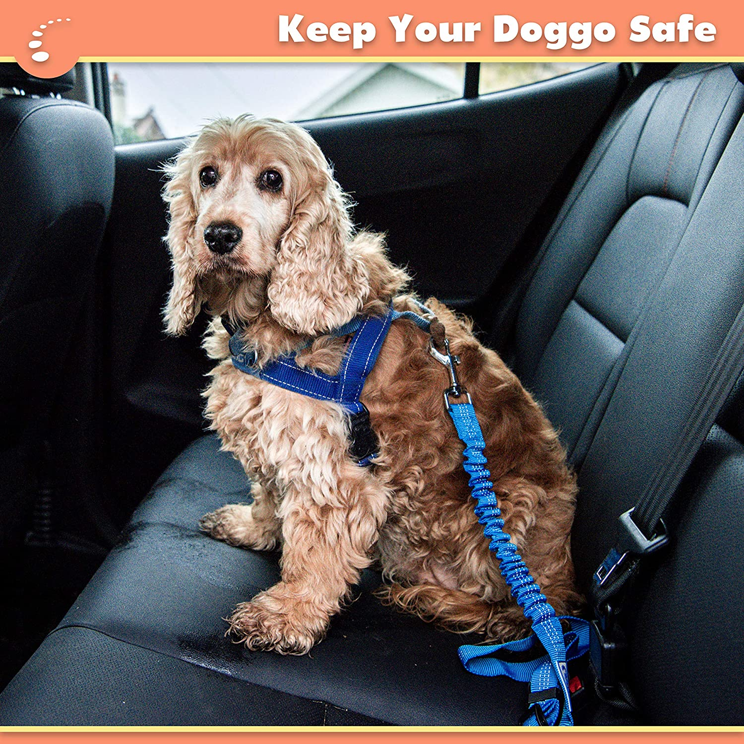 Zenify Dog Car Seat Belt Extendable Lead (2 Pack) - Bungee Leash for Dogs Puppies - Pet Adjustable Elastic Seatbelt Harness Vehicle Safety Birthday Road Trip Gift Idea (Green) - Blue image number 5