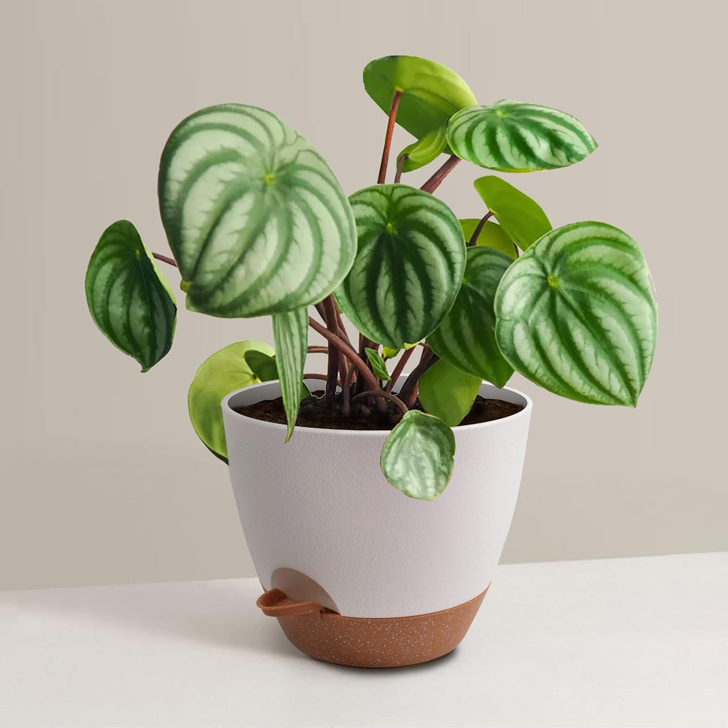 Set of 3 Plant Pots, 20CM, Self-Watering Flower Pots for Indoor and Outdoor Use, Planters with Drainage Hole and Saucer Reservoir, White image number 6