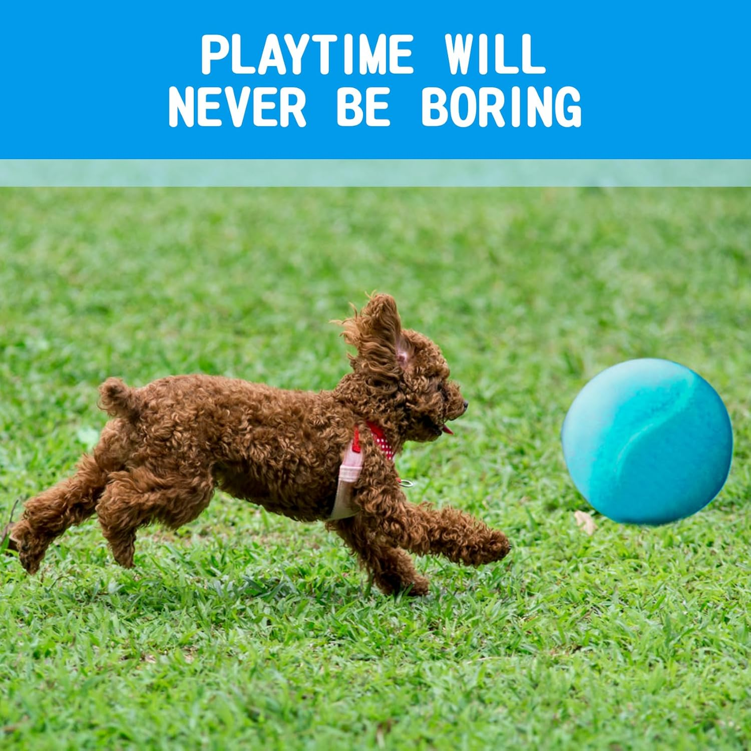 Susu & Wuwu Giant Tennis Ball for Dogs Yellow Big Tennis Ball for Dog Birthday Gift 9.5" Pet Toy Balls for Small/Medium/Large Dogs - Blue image number 6