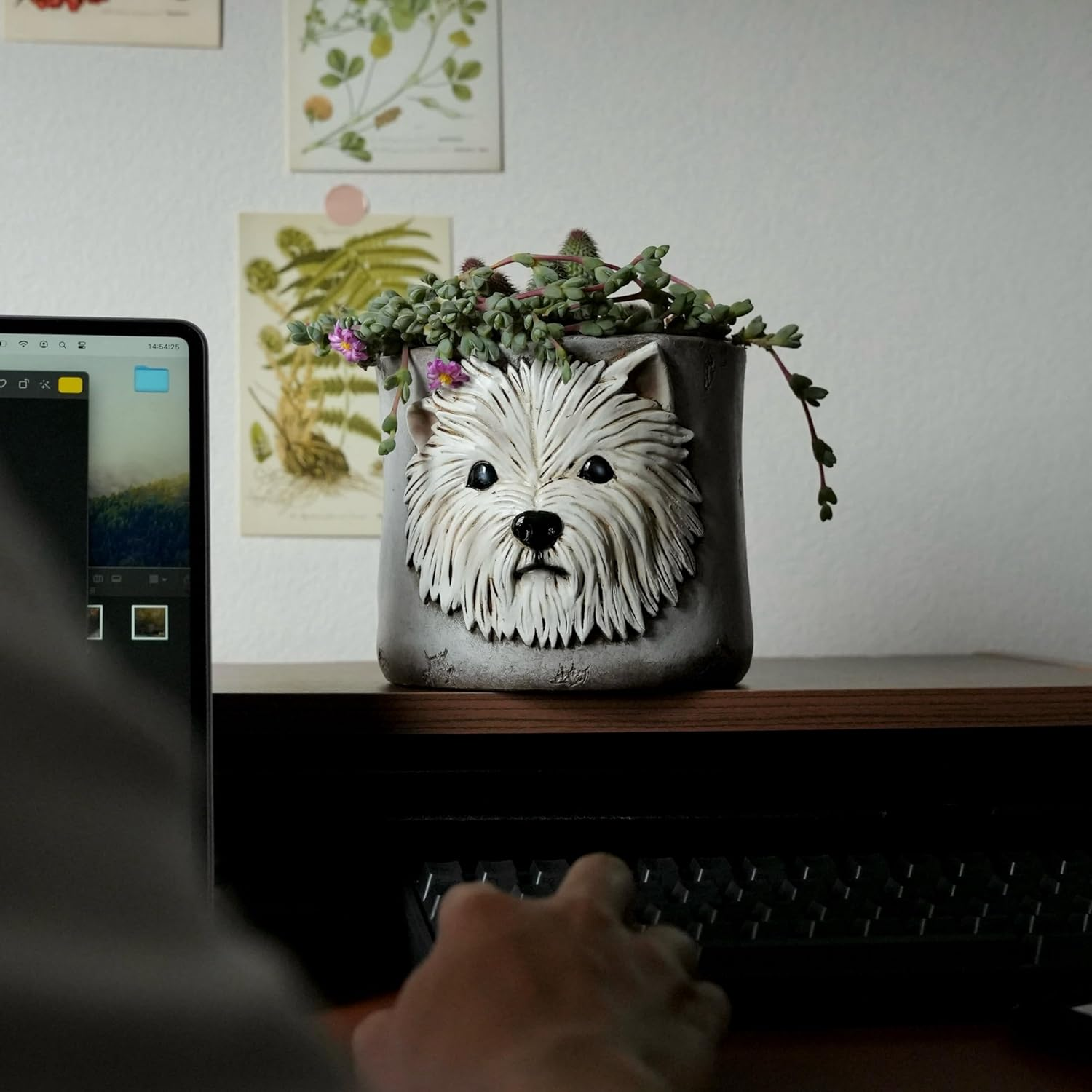 Westie Dog Planters for Indoor Plants, 6 Inch Resin Dog Face Plant Pots for Garden Decor, Succulent Pots with Drainage Hole, Ideal Present for Plant Lovers image number 6