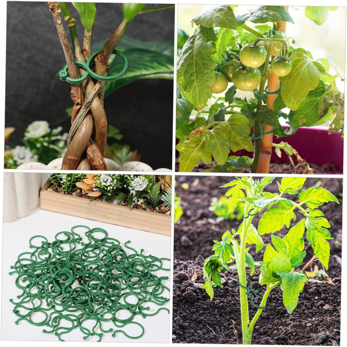 100Pcs Vegetable Garden Binding Clip Plant Training Clips Garden Plant Clamp Stem Flower Vine Clamp Supplies image number 3