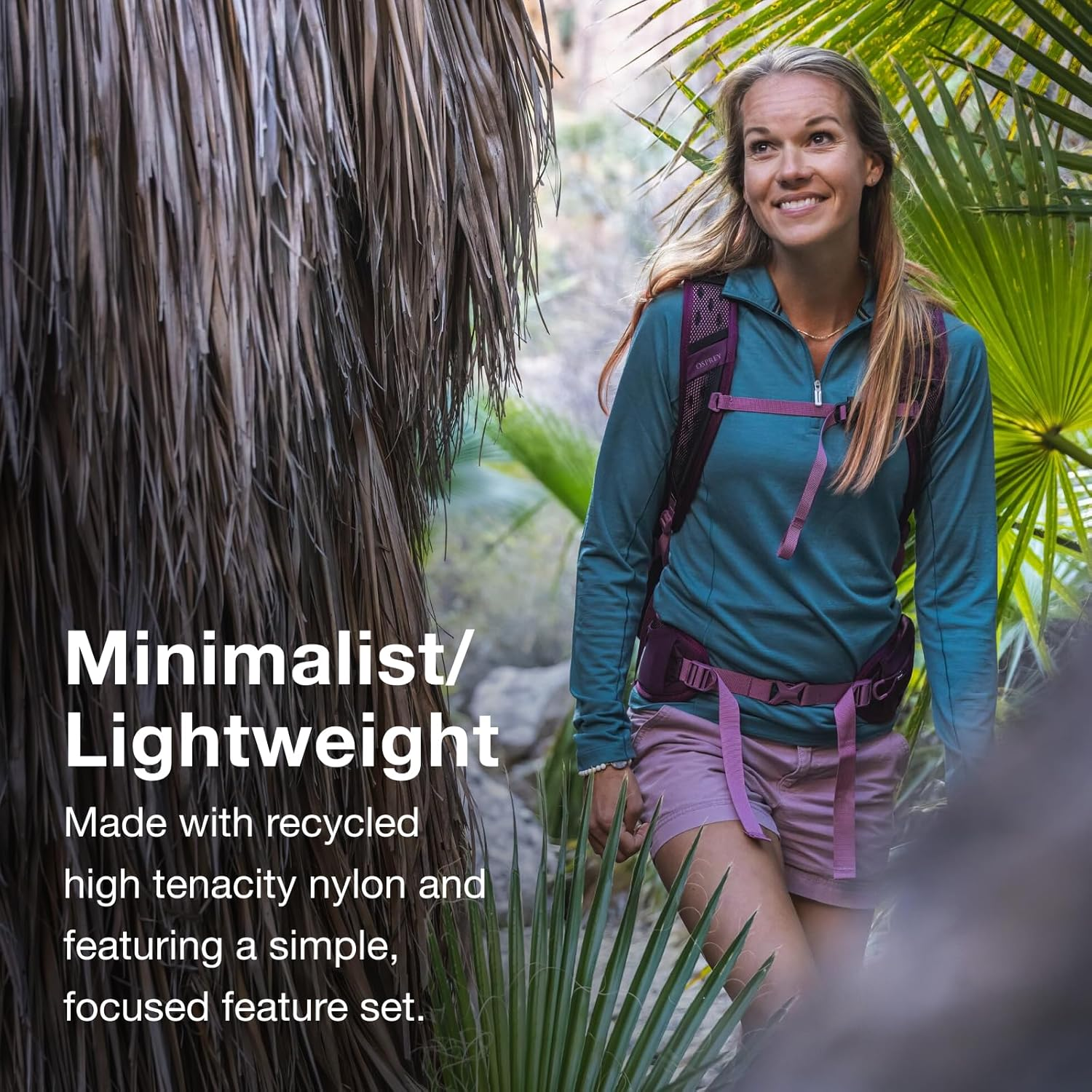 Osprey Osprey image number 3