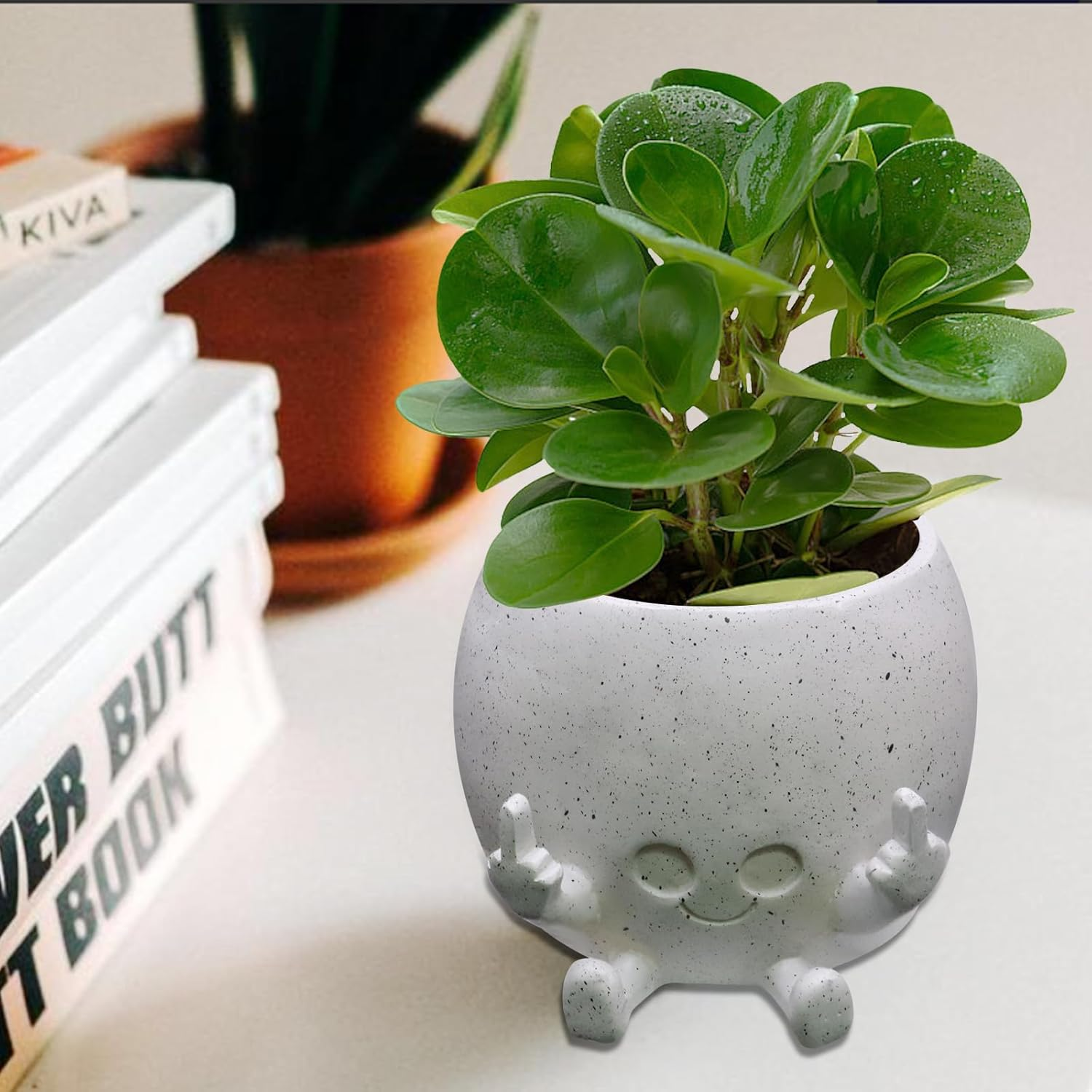 Smiling Plant Pot with Middle Fingers Up, Face Planter Pot Resin Flower Planters for Indoor Outdoor Plants Succulent Pots for String of Pearls Plant Live Gift Ideas for Mother (White) image number 2