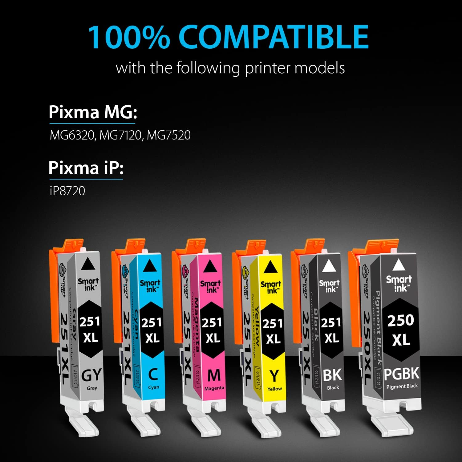 Smart Ink Compatible Ink Cartridge Replacement for Canon PIXMA CLI-251XL PGI-250XL PGI 250 CLI 251 (1PGBK & 1BK/C/M/Y/GY 6 Combo Pack) to Use with MG6320 MG7120 MG7520 Ip8720 image number 1