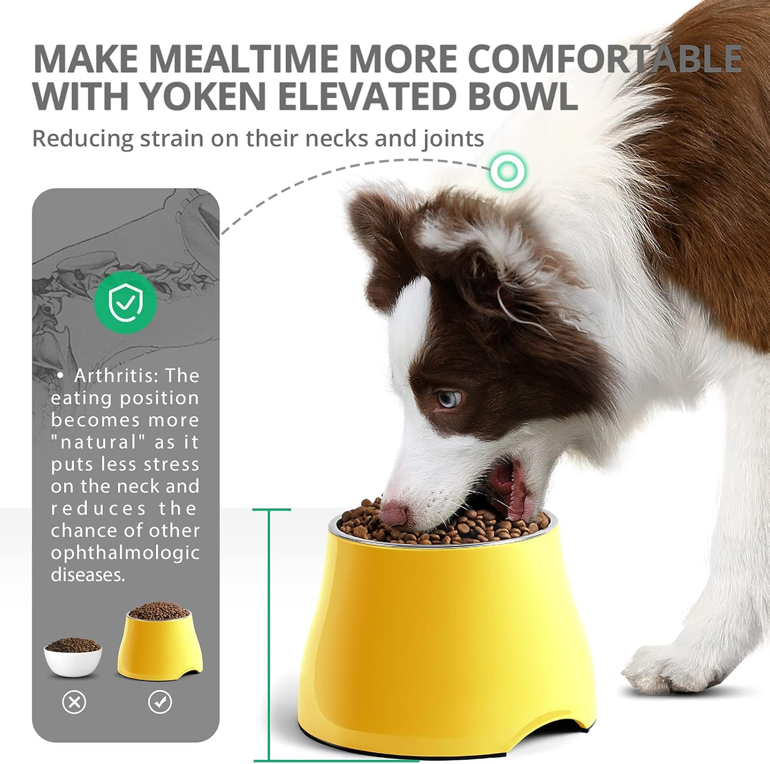 Yoken Elevated Dog Bowls, [Prevention of Vertebrae Disease] [Super Non-Slip] Dog Bowl with Stainless Steel Bowl, High Capacity Dog Food Bowls, Colorful Raised Dog Bowls for Medium/Small Size Dogs image number 1