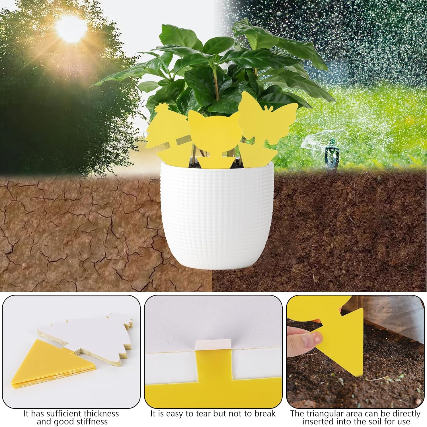 BTYMS 50 Pcs Sticky Bug Traps - Dual-Sided Glue Boards with 5 Adjustable Ground Penetrations, Fruit Fly Traps for Garden/Kitchen/Home - Indoor & Outdoor Use Protect the Plant (Yellow,Pp) image number 4