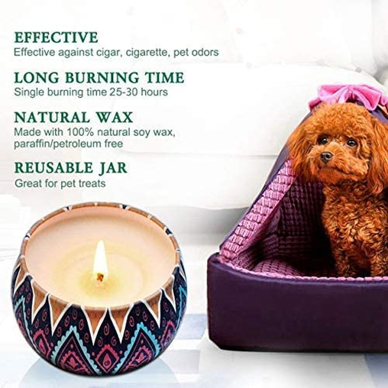 Scented Candles - Gift Set - Pack of 4 Natural Scents - Citronella Oil, Fresh Lychee and White Tea, Ocean Breeze and Misty Forest - Long Burning Hours Tin Candle - Dewali Gift Set image number 3