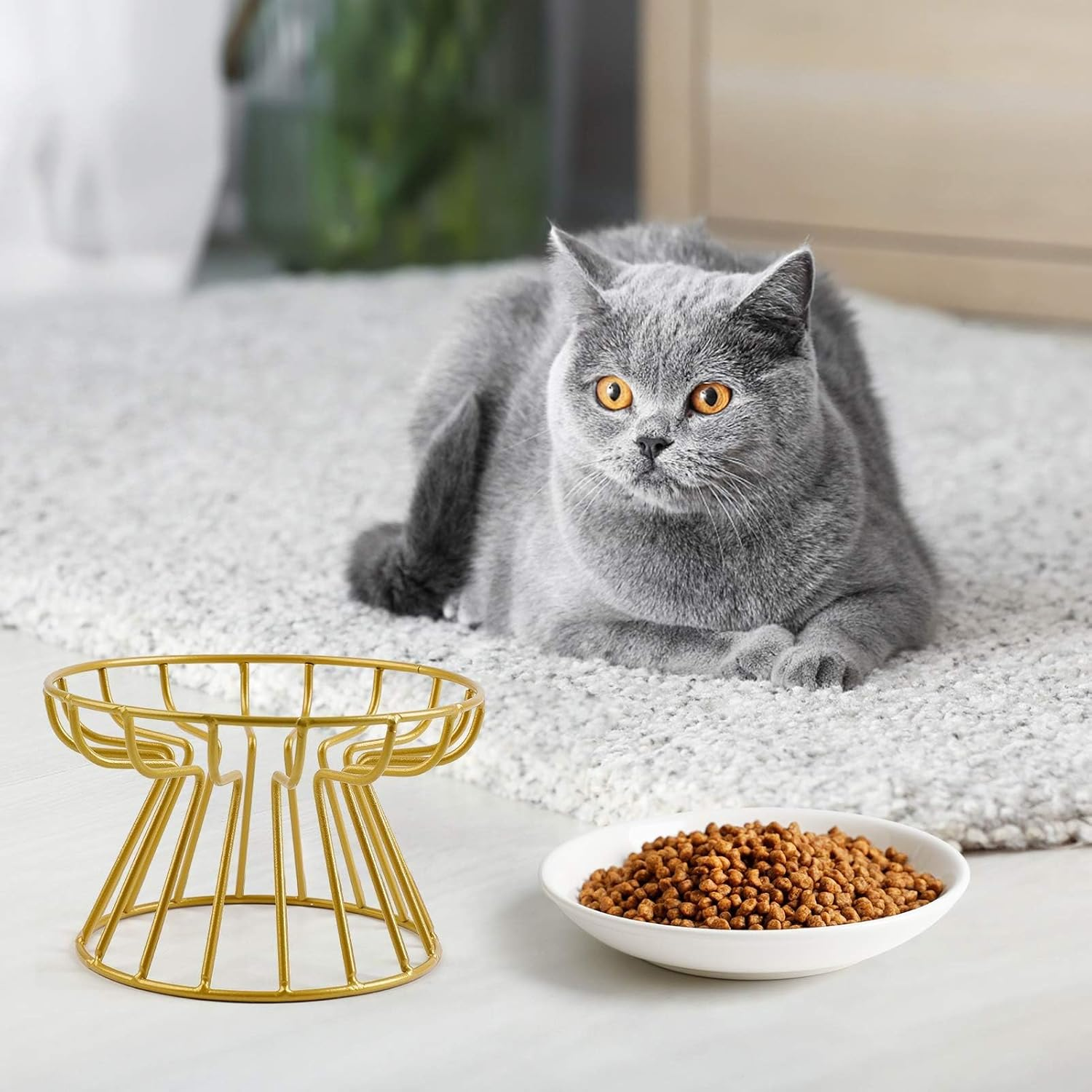 Cat Bowl-Raised Cat Food Bowl, Elevated Cats Feeder Bowl Stand, Elevated Cat Food Bowl with Non Slip Metal Stand, Food & Water anti Vomiting Shallow Ceramic Cat Dish image number 6