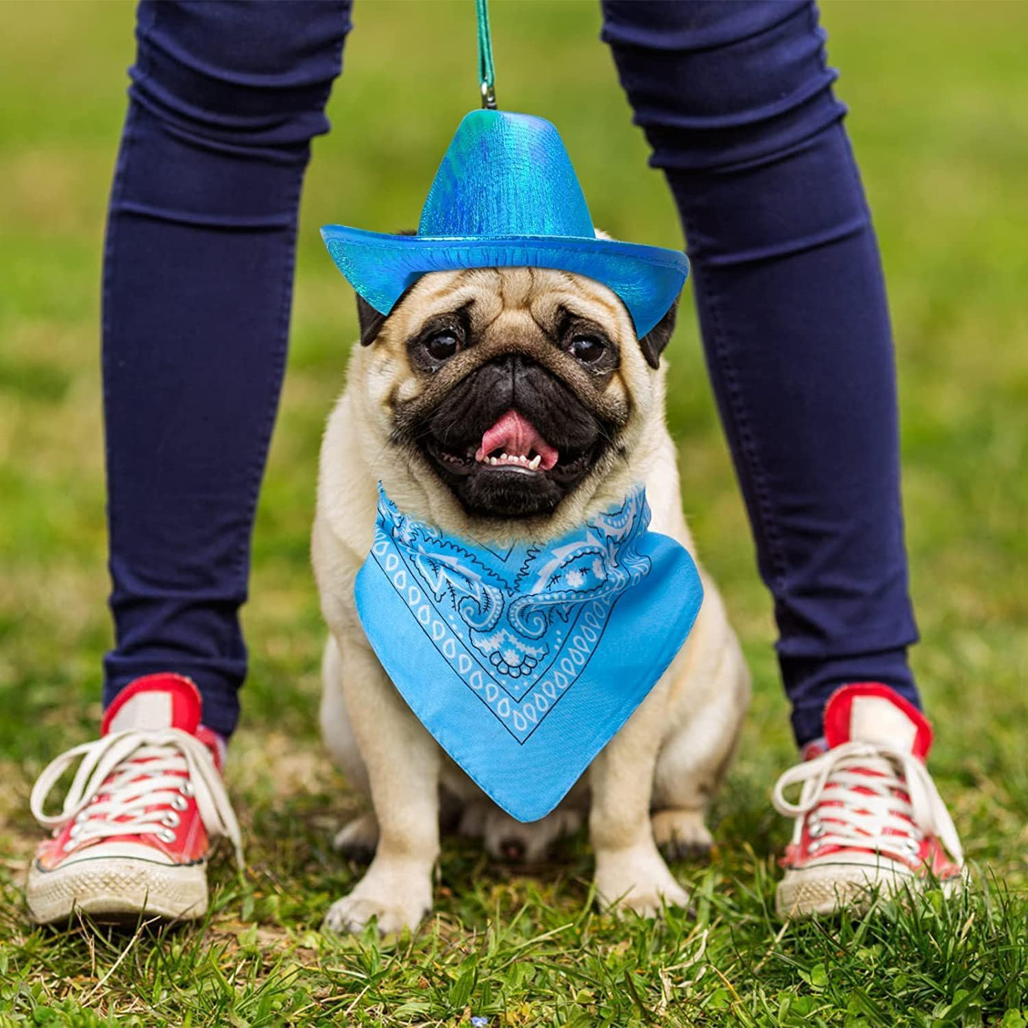 Dog Cowboy Hat Dog Cat Cowboy Hat Costume Cowboy Accessories for Pet Space Shiny Cowboy Hats for Dog Cat (Blue, One Size)