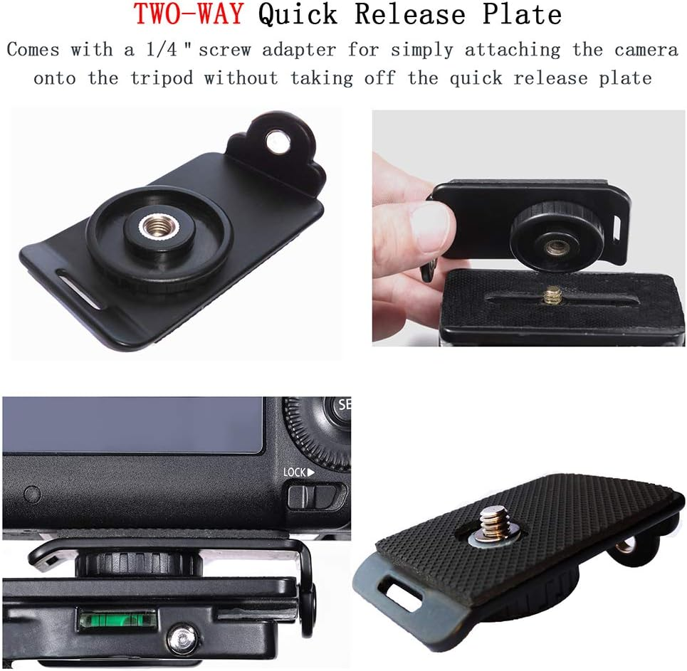 Double Double image number 2