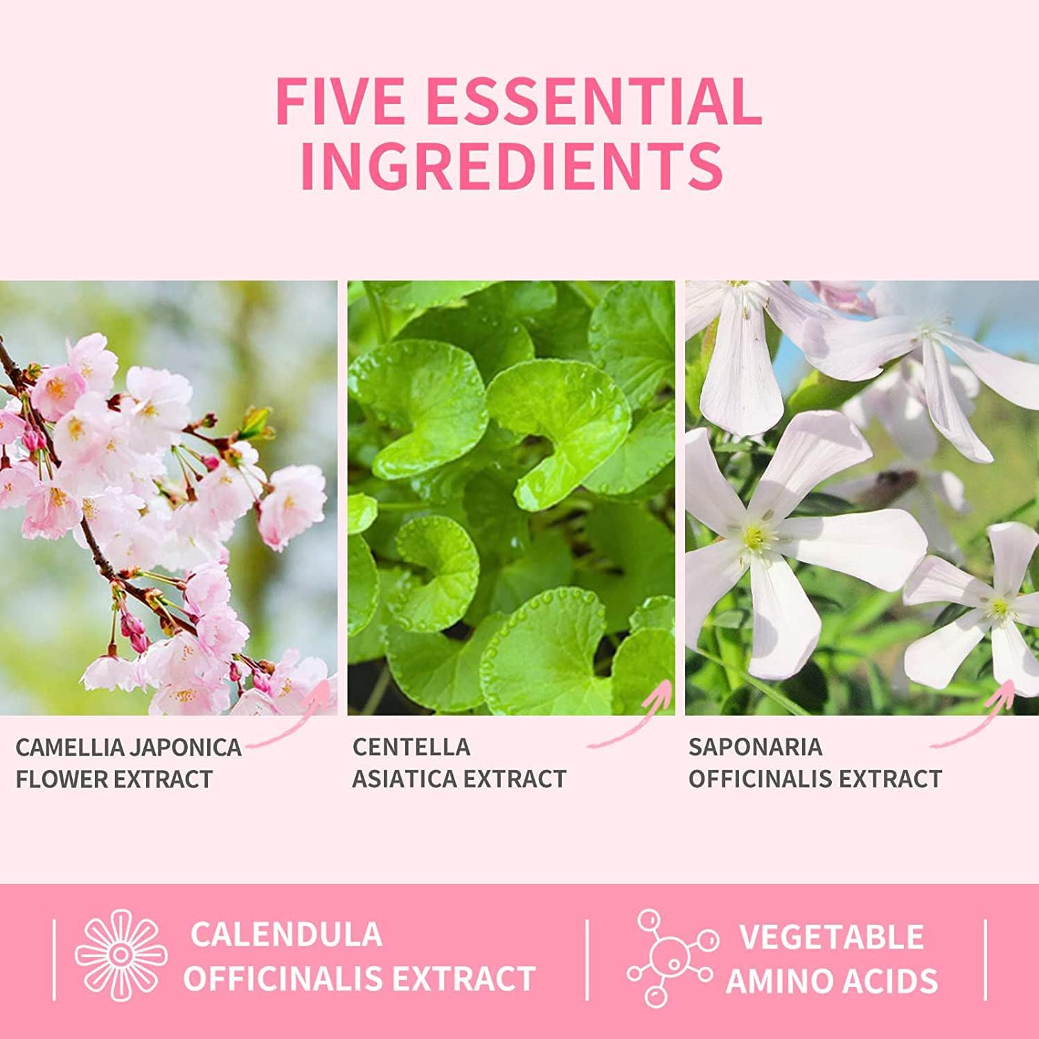 Eyelash Extension Cleanser, Upgraded Eyelash Extension Shampoo 60Ml+Mascara Wand+Brush Eyelash Foam Cleanser for Extensions and Natural Lashes,Paraben & Sulphate Free, Salon and Home Use image number 5