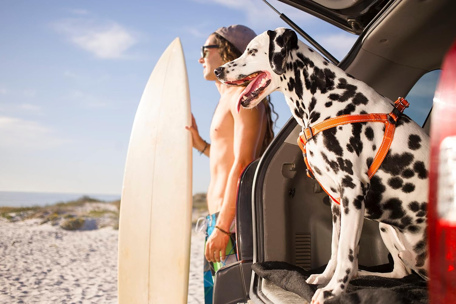 Rogz Utility Step-In Harness Fanbelt, Large, Black