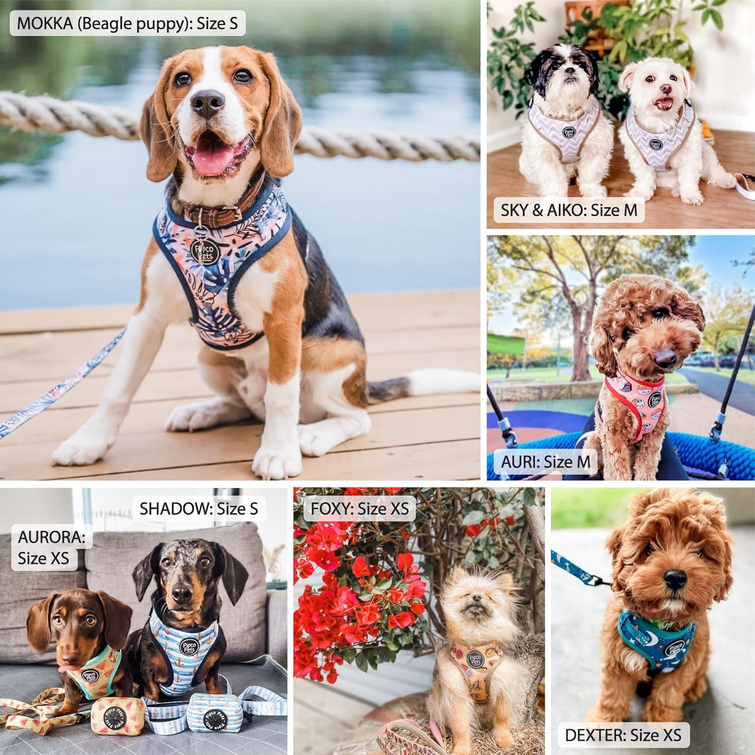 PIPCO PETS - Adjustable Dog Harness | Cute Colourful Patterns | Perfect Fit, Escape Proof Vest | Safe and Secure | Easy On/Off | (Large, Gettin' Ziggy) image number 3