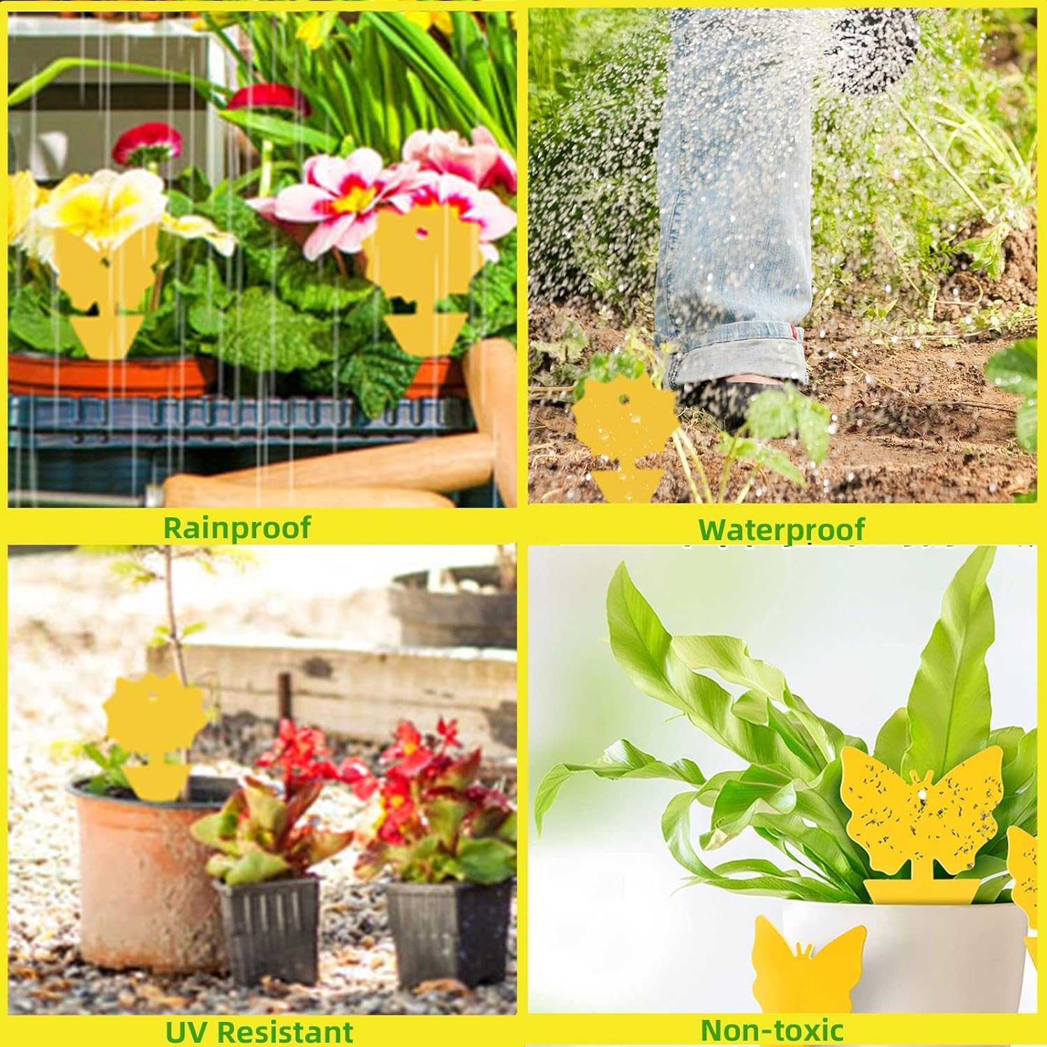 56 Pack Yellow Sticky Fly Traps Fungus Gnat Trap Killer Dual-Sided Yellow Fruit Fly Trap Insect Catcher for Houseplant Indoor and Outdoor Plants image number 3