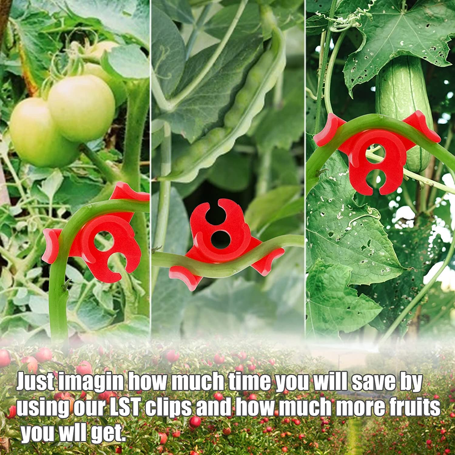 Low Pressure Training Plant Bender,Low-Stress Training Clips,Plant Trainer Plant Bender,30Pcs Plant Low-Stress Training Clips Plant Stem Training Clips,Plant Stem Training Clips,Plant Branches Bender image number 6