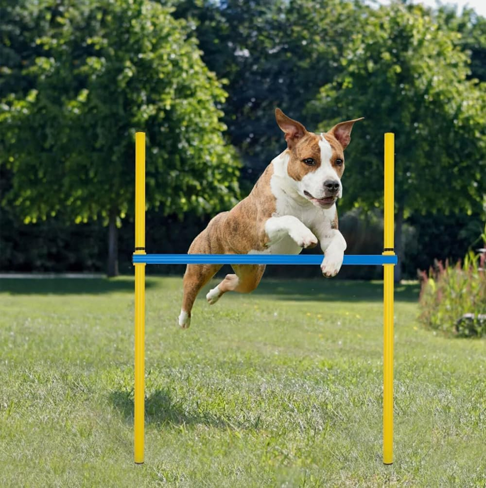 Dog Agility Training Equipment, Dog Obstacle Course Training Starter Kit Includes Tunnel, Weave Poles, Adjustable Hurdle, Jump Ring, Pause Box, Toys and Carrying Bag, Pet Outdoor Games
