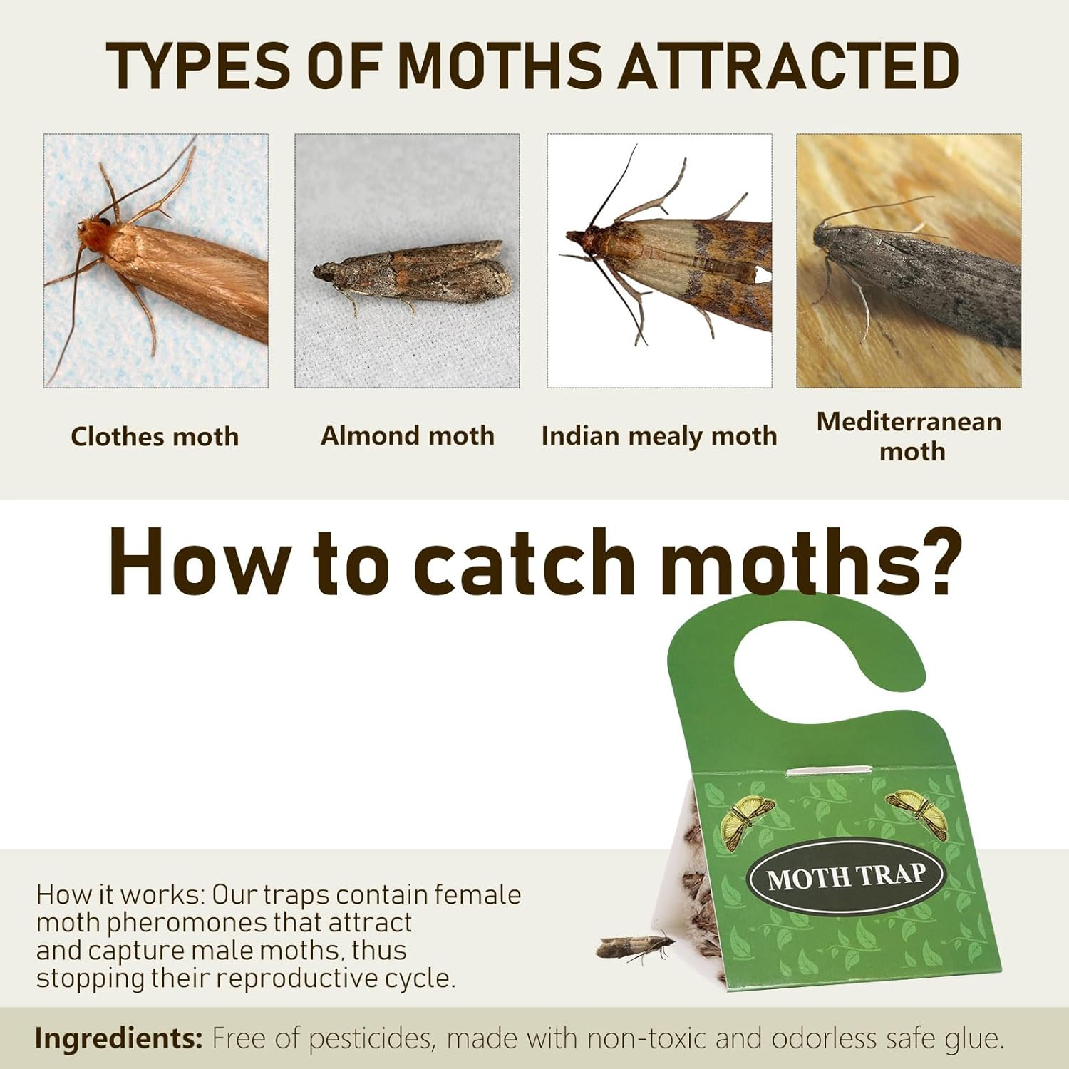 Clothes Moth Traps 8 Pack,Joogee Pantry Moth Traps Effective Safe Capture Clothing Closets, No Insecticides | Premium Attractant | Protect Clothes, Sweaters, Wool, Carpet | Safe Moth Killer image number 6