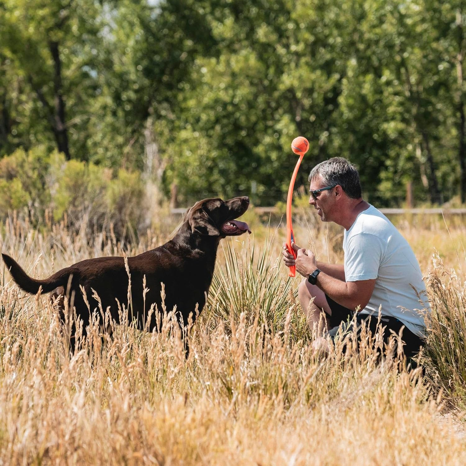 Chuckit! Sport 26L Dog Ball Launcher, 26" Length, Includes Large Ball (3") for Dogs 60-100 Pounds image number 5