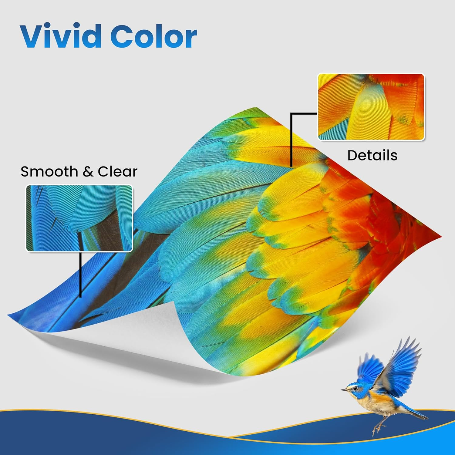 Printer Cartridges Compatible with Canon PGI-520 CLI-521 Pixma Ip3600 Ip4600 Ip4700 MP550 MP540 MP560 MP620 MP630 MP640 MP980 MP990 MX870 MX860 (Pack of 9) image number 1