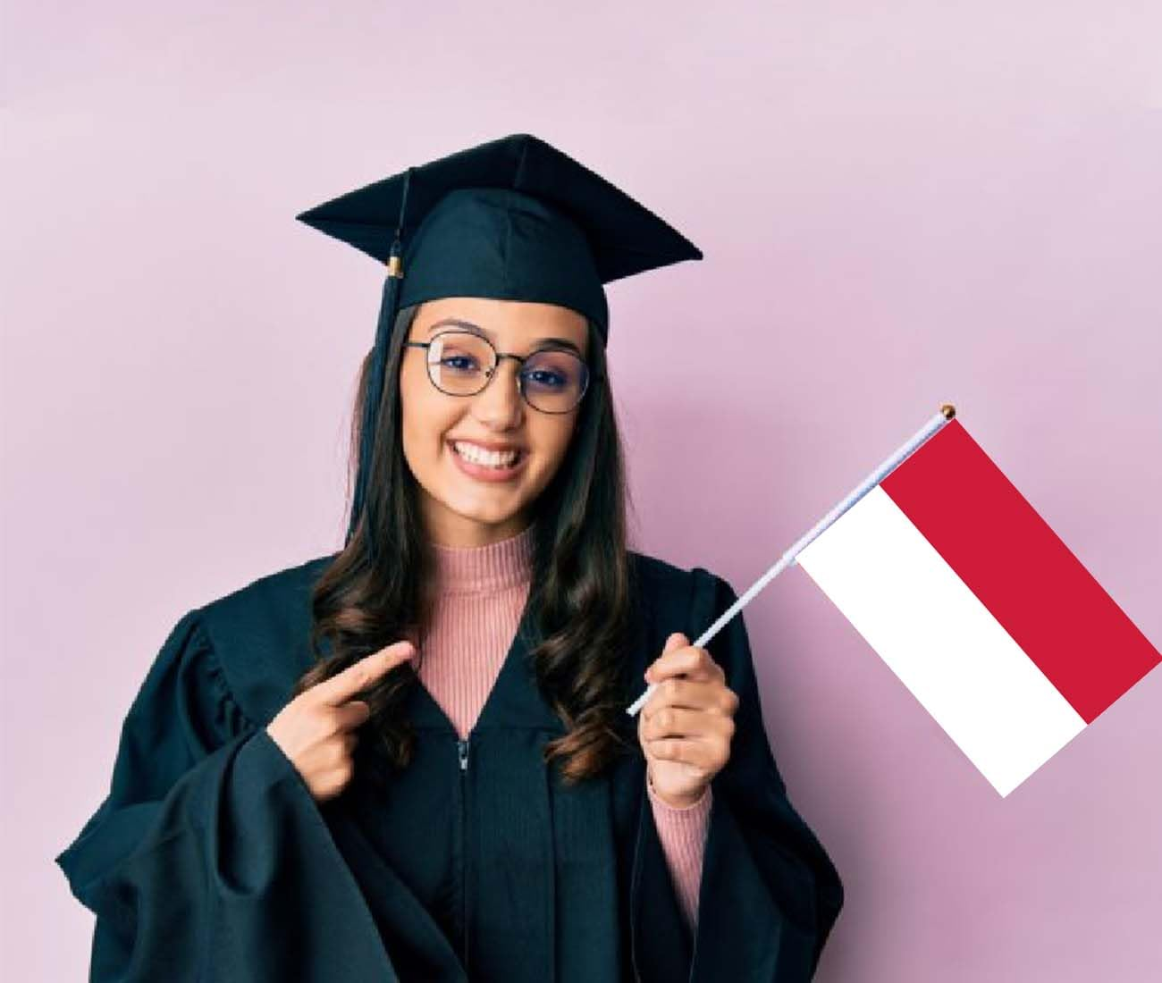 10 PCS Indonesia Handheld Small Flag, Indonesians Hand Held Mini Decor Decoration Banner