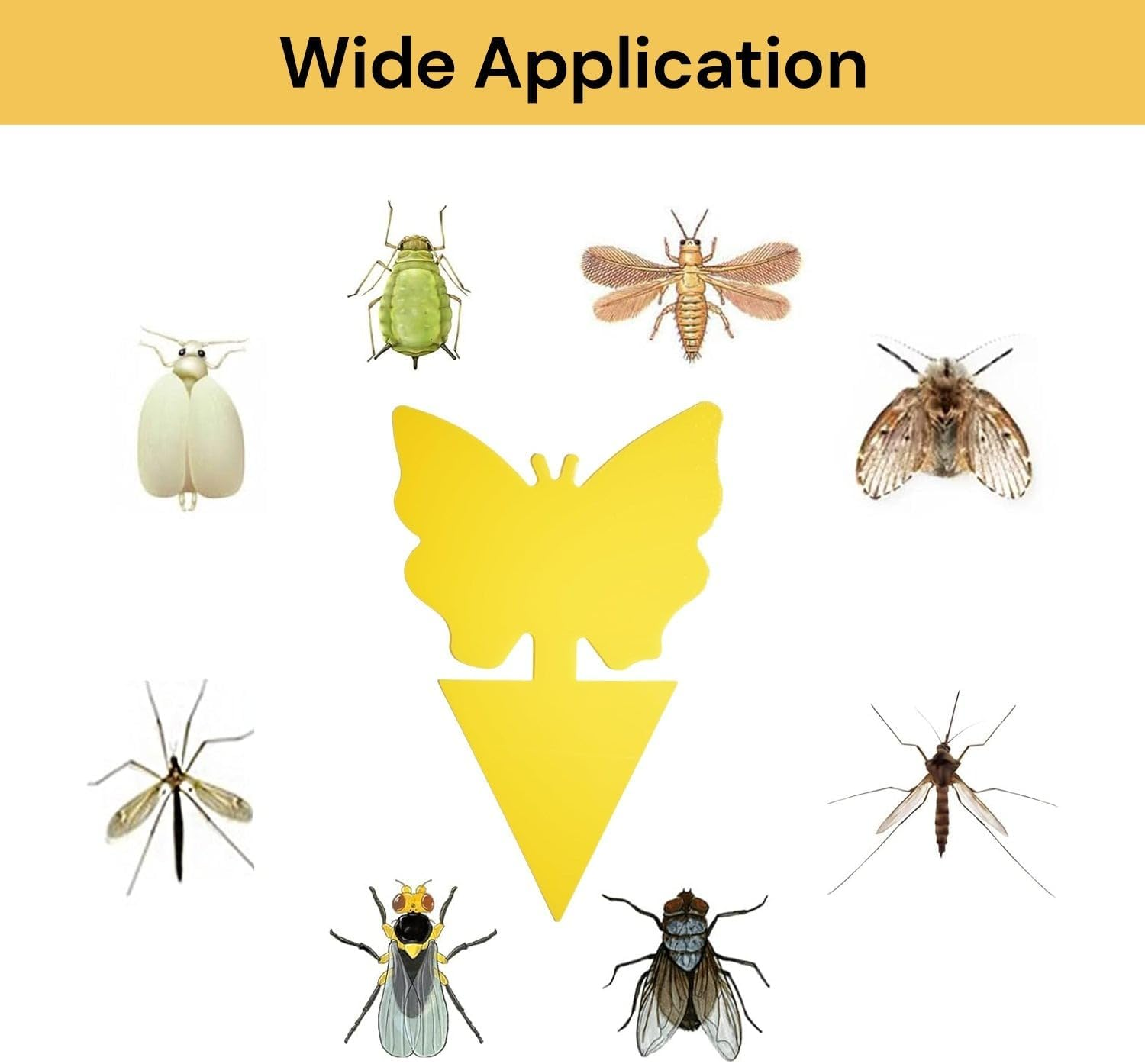 EZONEDEAL 12 PCS Sticky Traps, Yellow Dual-Sided Sticky Insect Catcher with Twist Ties Fruit Fly Fungus Gnat Trap for Whiteflies Mosquitos Fungus Aphids Leafminers Indoor Outdoor Use image number 5