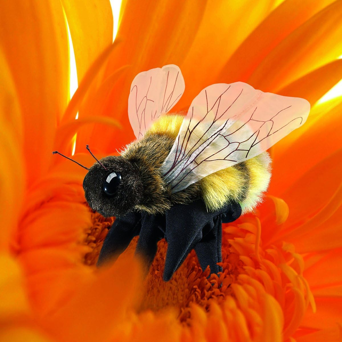 Folkmanis Honey Bee Hand Puppet image number 4