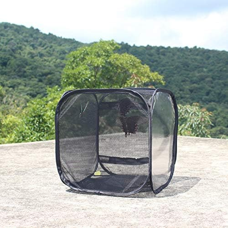 Insect and Butterfly Habitat Cage Outdoor Collapsible Butterfly Enclosure Mesh Net Cage (Black30&times;30&times;30Cm)