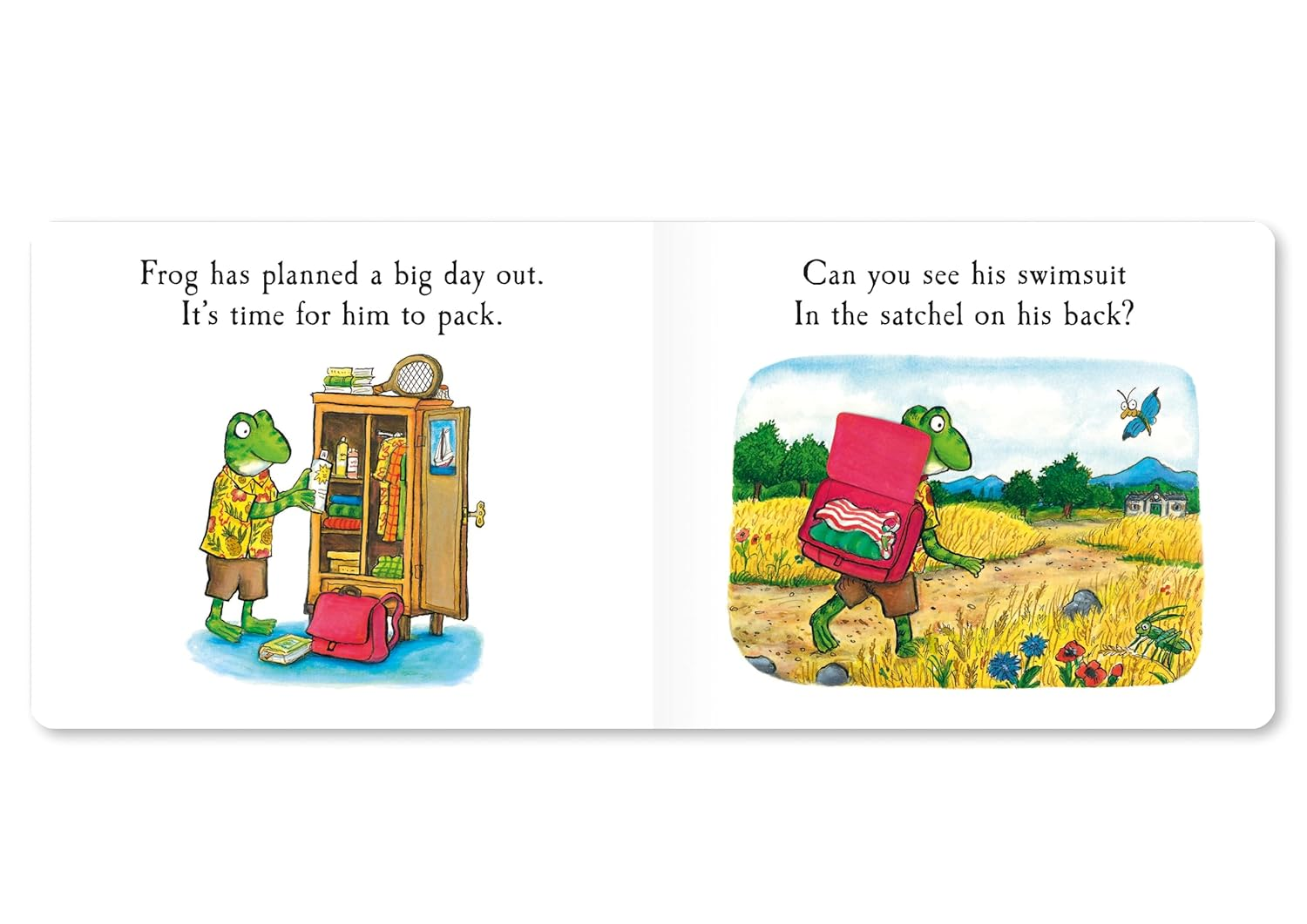 Frog'S Day Out: a Lift-The-Flap Story image number 1