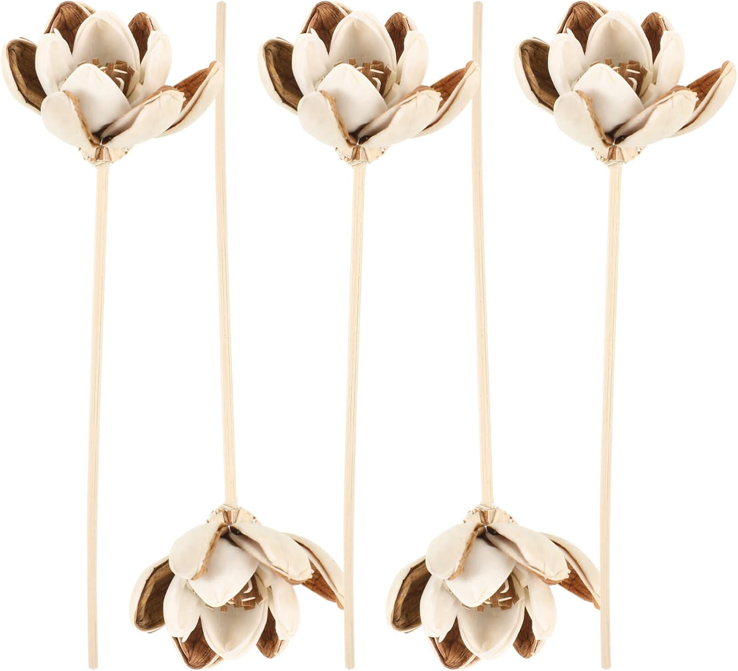 COHEALI 5Pcs Flower Decor Diffuser Sticks Aromatherapy Essential Oil Diffusers