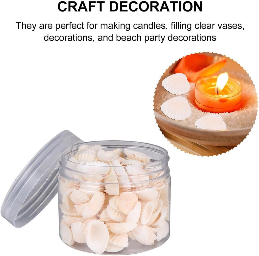 SEWACC 2Pcs Natural Shell Scallop Canned Small White Seashells Micro Landscape Decor Sea Shells Mixed Wishing Bottle Clam Shells for Crafts Beach Shells Seashells for Crafts Sandbag Large image number 4