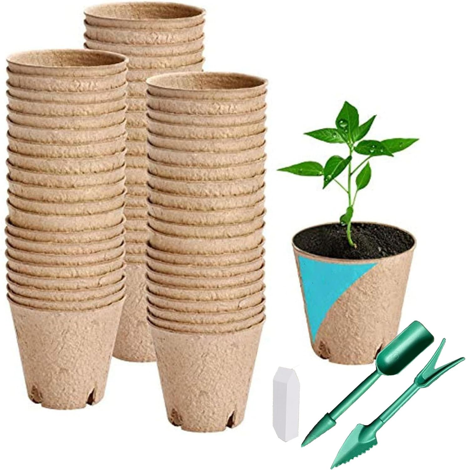 50 Packs of 3.15Inch Peat Pots,Entry-Level Garden and Nursery Seed Pots,Biodegradable Peat Pot Set with 50 Plant Labels and 2 Transplant Tools image number 1