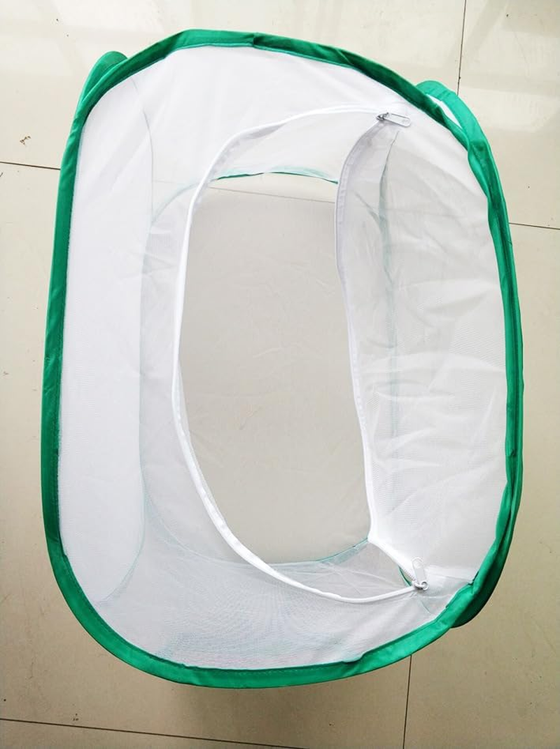 Insect and Butterfly Habitat Cage &ndash; Foldable Mesh Butterfly Cage with Clear View 6 Panels, Durable Breeding Habitat for Kids Garden Science Education 30X30X30Cm image number 2