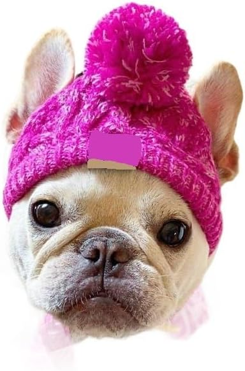 Classic Dog Knit Hat - Knitted Dog Hat with Ear Holes & Adjustable Chin Strap - Dog Beanie for Soft Fabric Beanies for Dogs - Stylish Dog Accessories - Hats for Dogs (Purple, M) image number 1