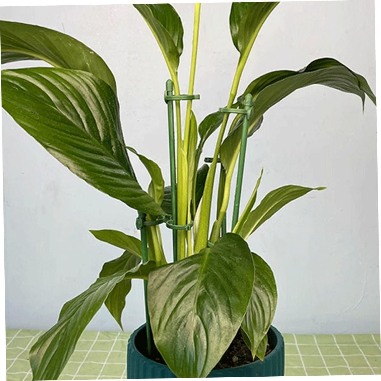 Yardenfun 12Sets Plant Support Stakes for Flower Garden Single Stem Plant Supports Garden Stakes for Growing Sticks image number 4