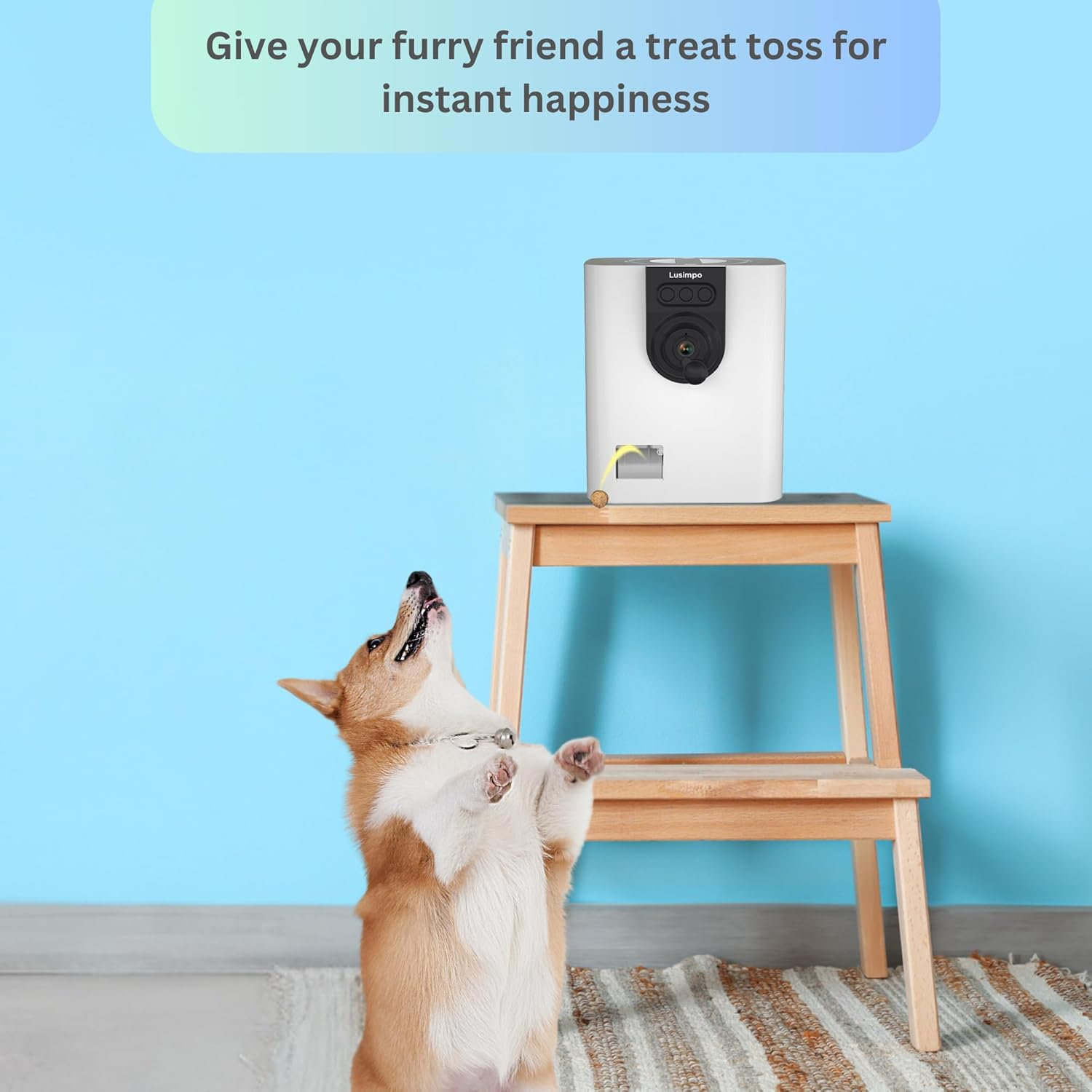 Pet Camera with Treat Dispenser, Tossing for Dogs/Cats, Wifi, 1080P Camera, Live Video, Auto Night Vision, 2-Way Audio, Compatible with Alexa & Google Home, No Monthly Fee image number 3