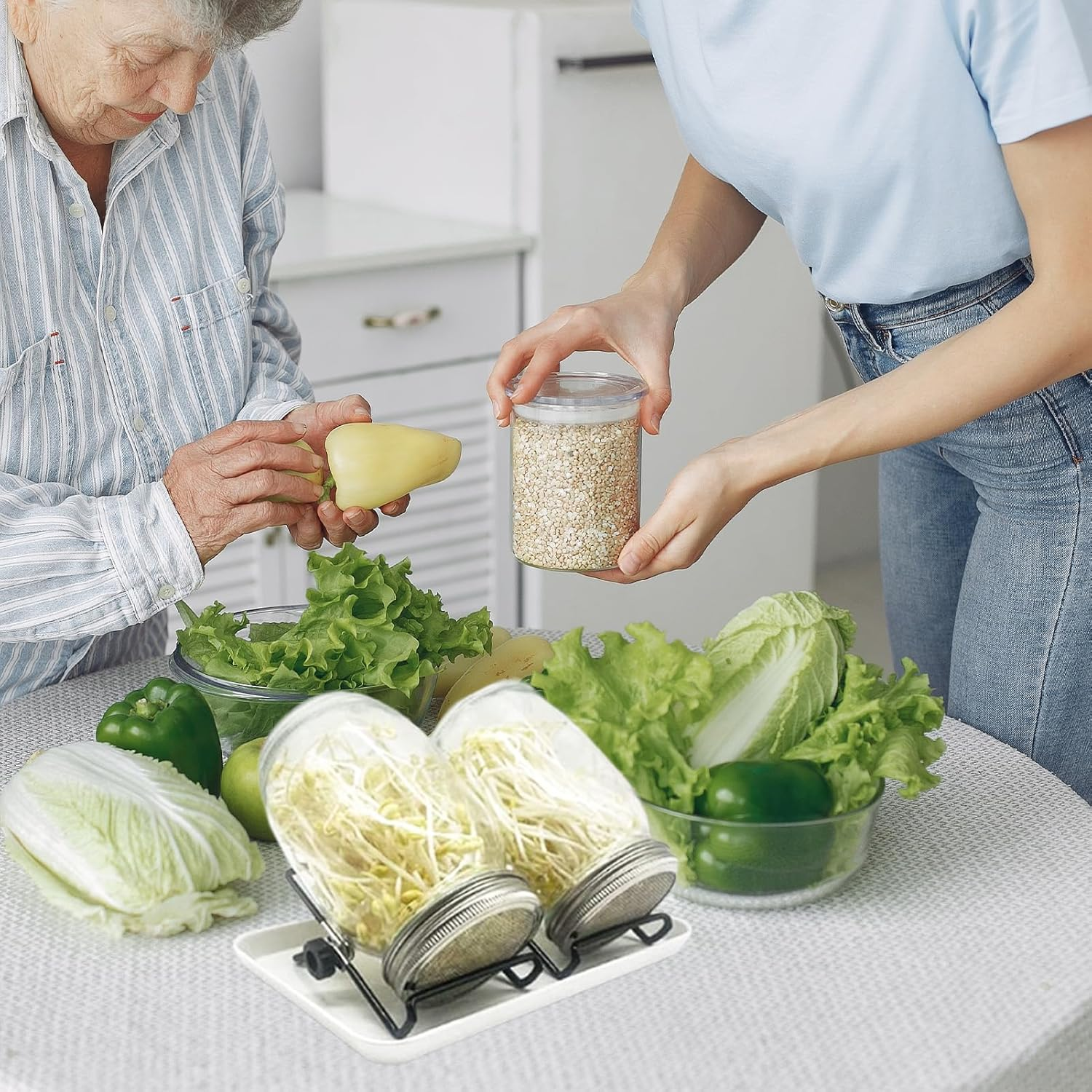 2 Pcs Sprouting Jar,32Oz Seed Sprouting Jar Kit with 304 Stainless Steel Screen Sprout Lids,Tray,Stand,Shading Cloth and Canning Brush for Growing Broccoli, Alfalfa, Mung Bean image number 1